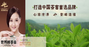 多元化經營，打造茶產業全鏈條——公司業務介紹